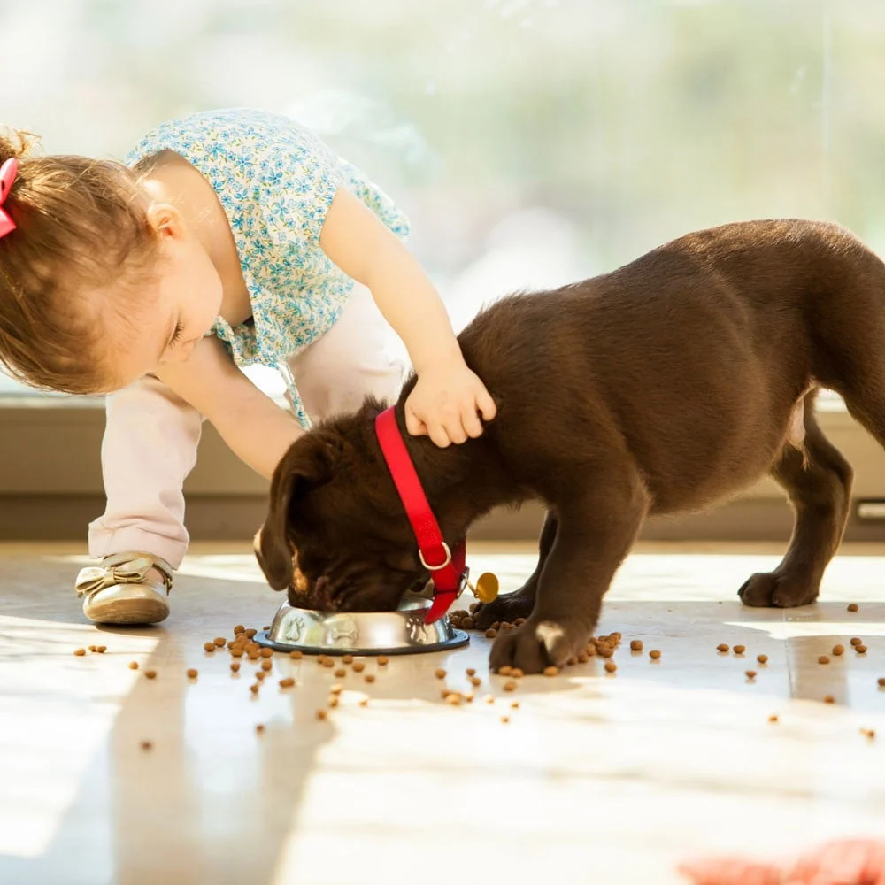 las-tareas-de-los-ninos-con-su-mascota-segun-su-edad-lg