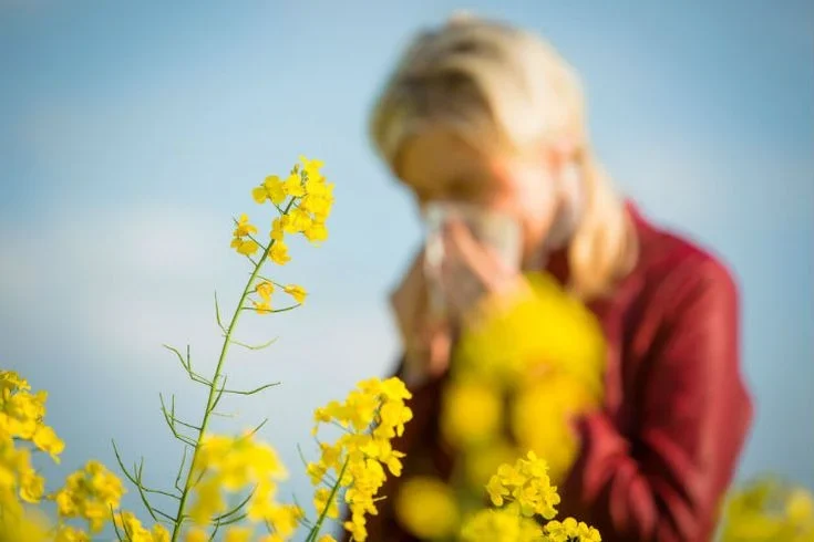 Did You Know That Touch Can Provide Relief From Seasonal Allergies