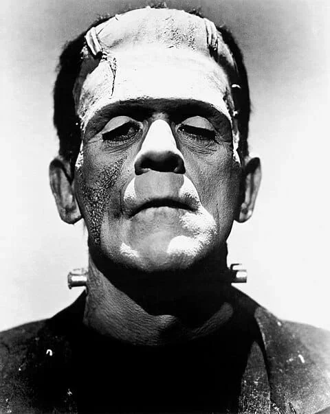 Frankenstein's Monster (boris Karloff) (1)