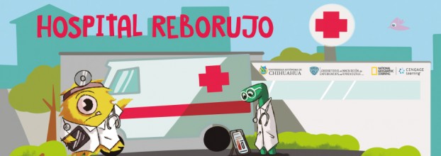 Hospital reborujo