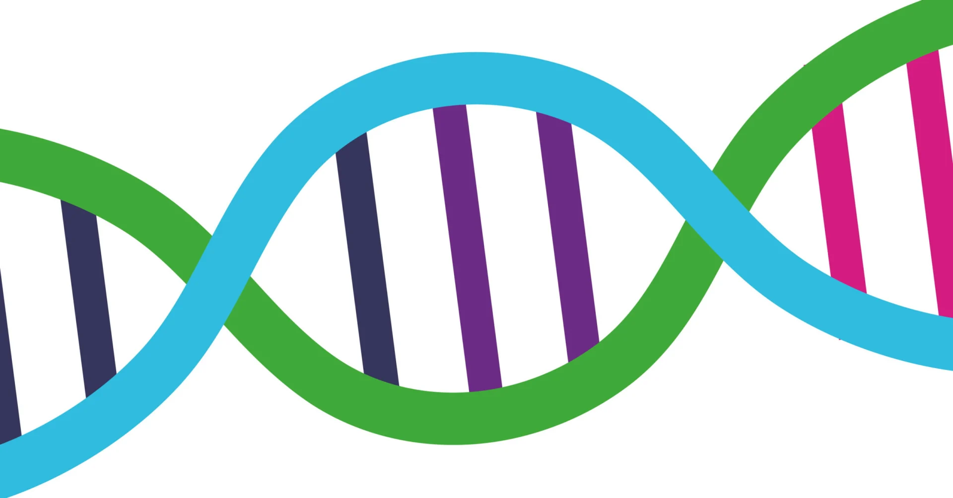 highlight_DSC_0990-579-01