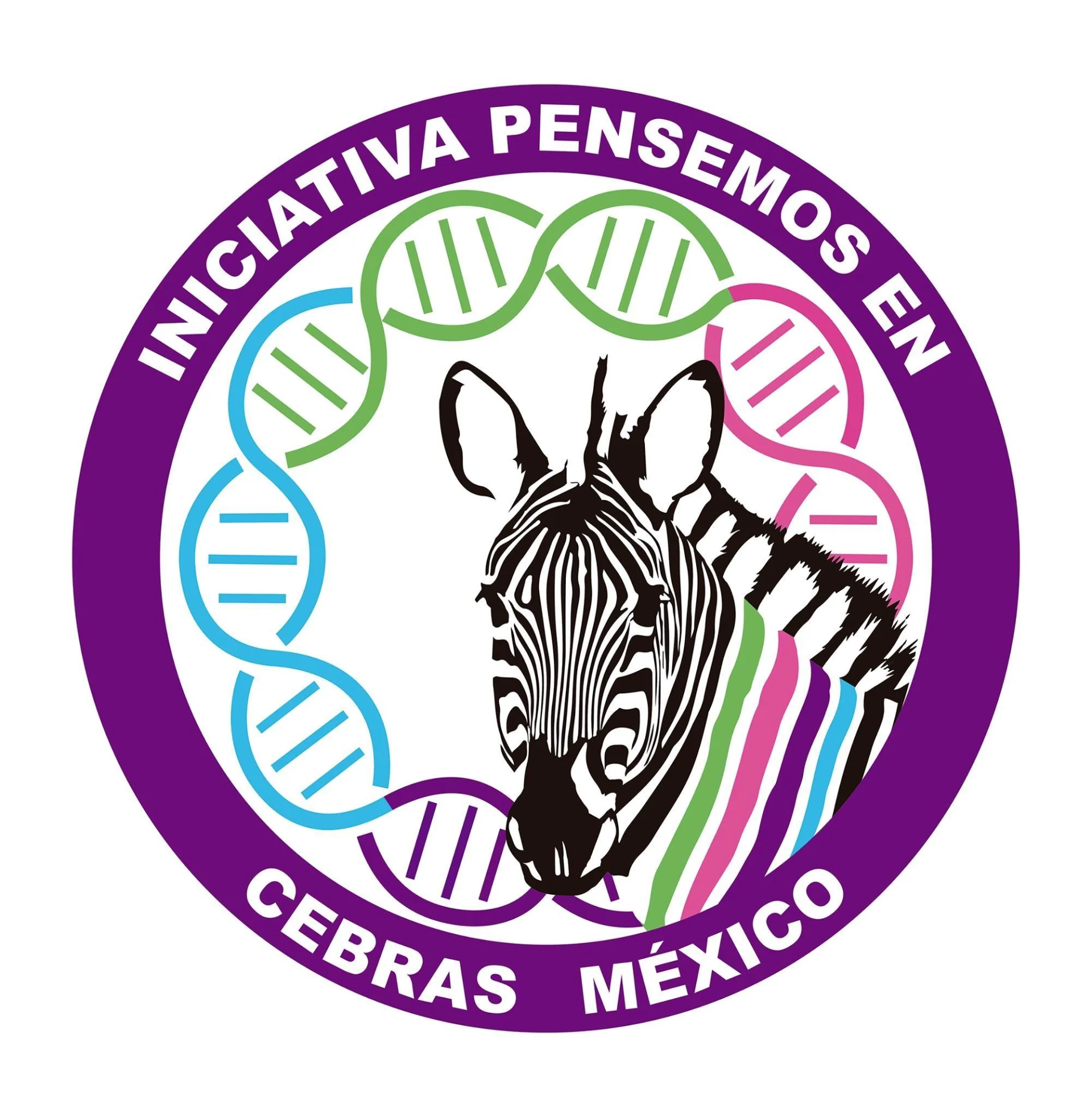 122090308_103232034911931_1474891225250386371_o