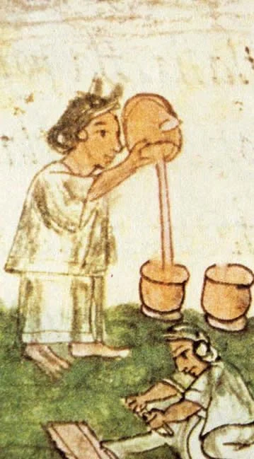 Cacao en la época prehispánica.