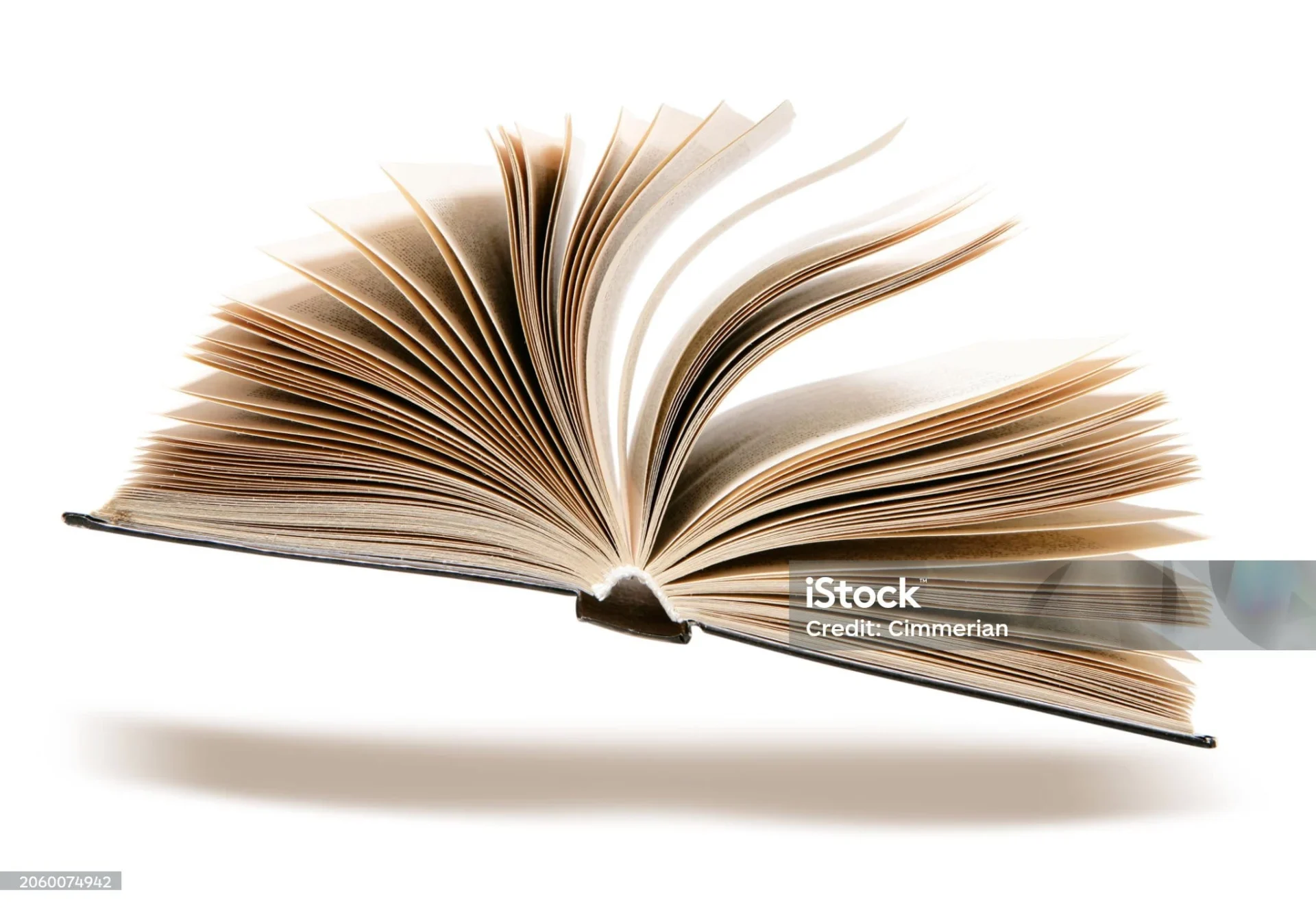 Istockphoto 2060074942 2048x2048