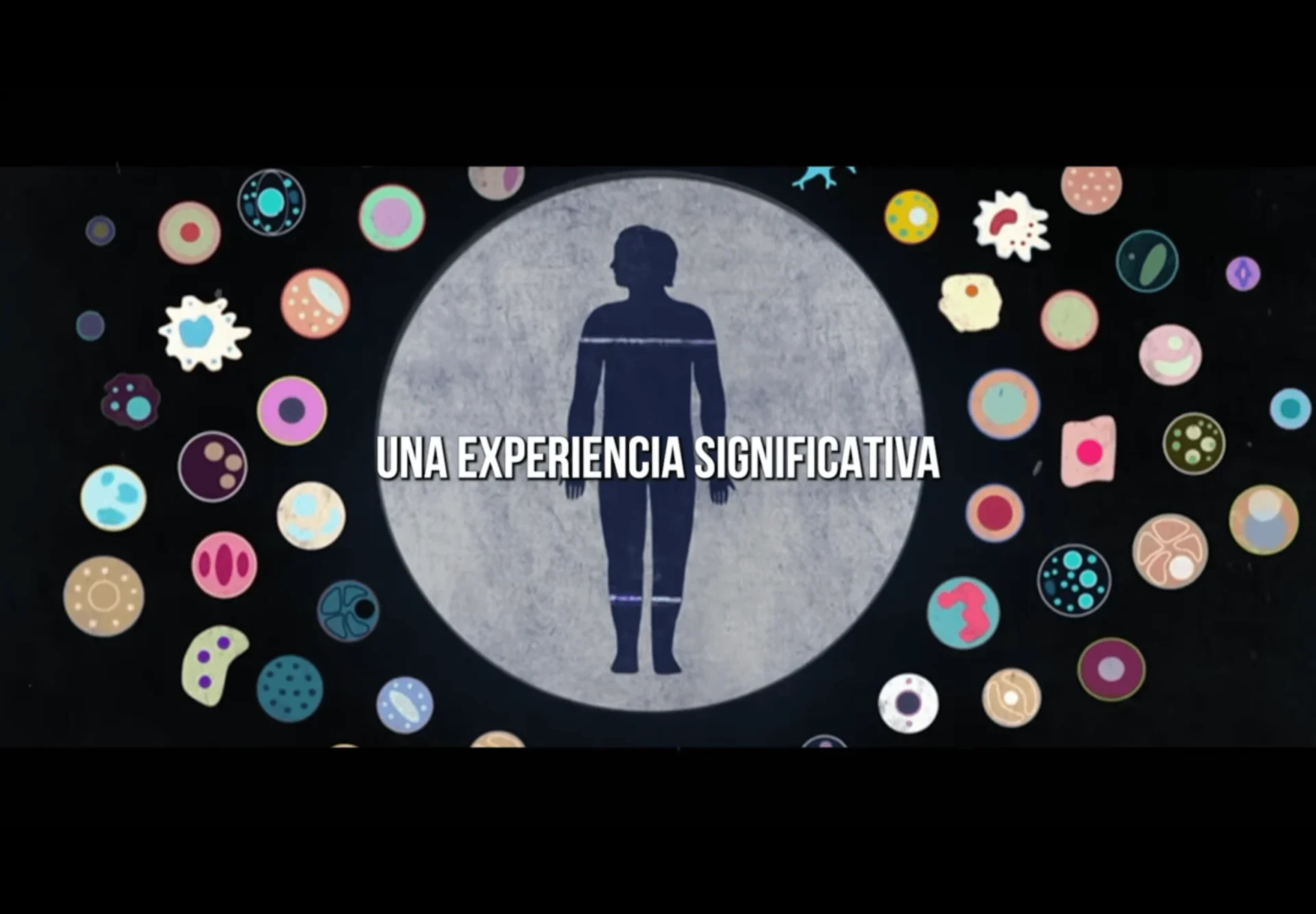 Tomado de la Web.