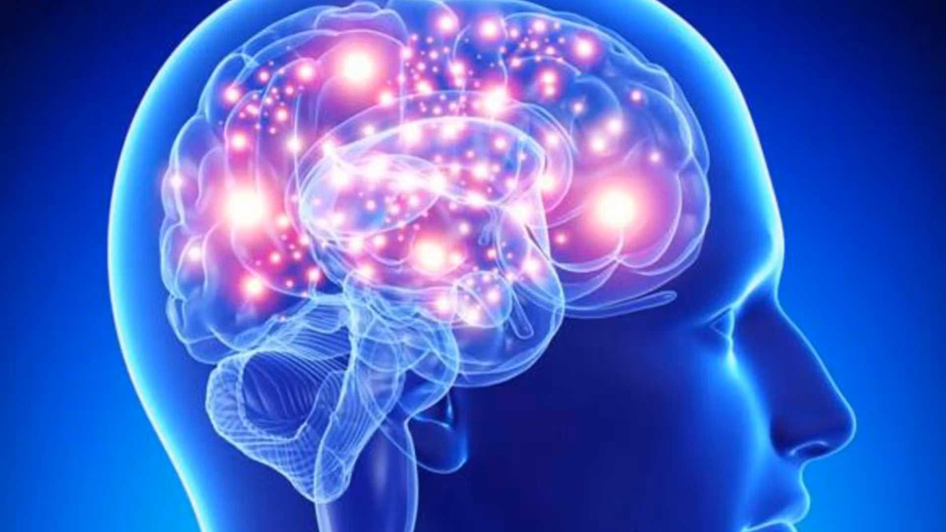 Cerebro De Un Genio