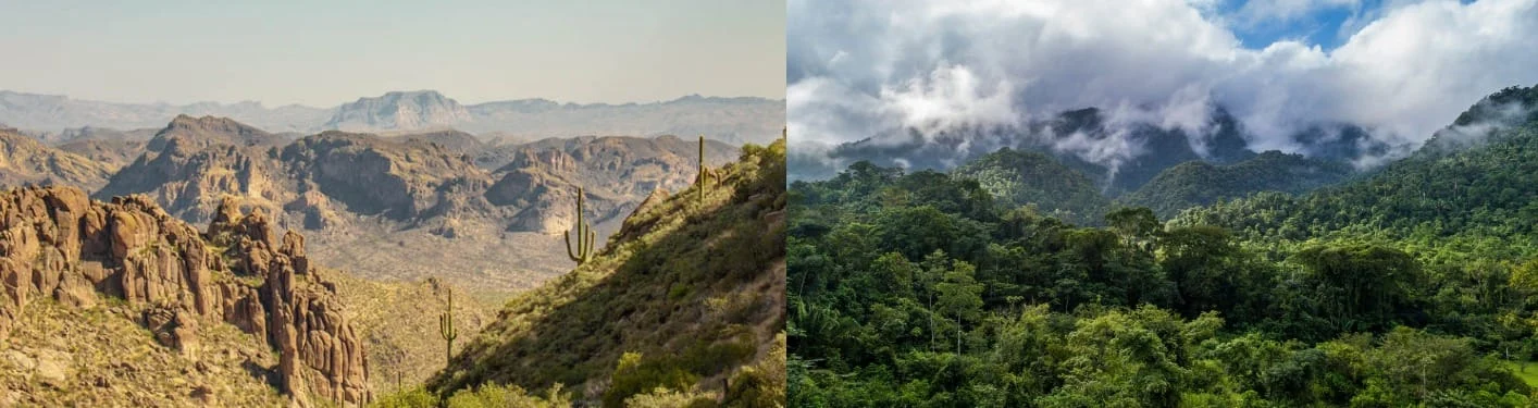 Whatsapp Image 2024 10 16 At 21.10.13