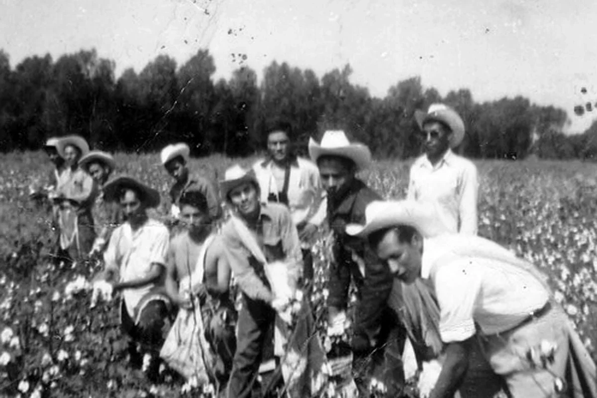 Braceros In Eastern Arkansas C 1950s Court Bracero History Archive